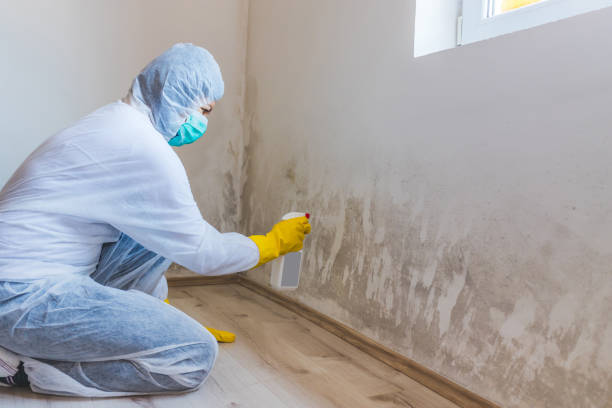 Hvac And Air Duct Mold Remediation inspection of HVAC system in Lakeville