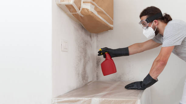Attic Mold Remediation treatment on roof deck in Lakeville